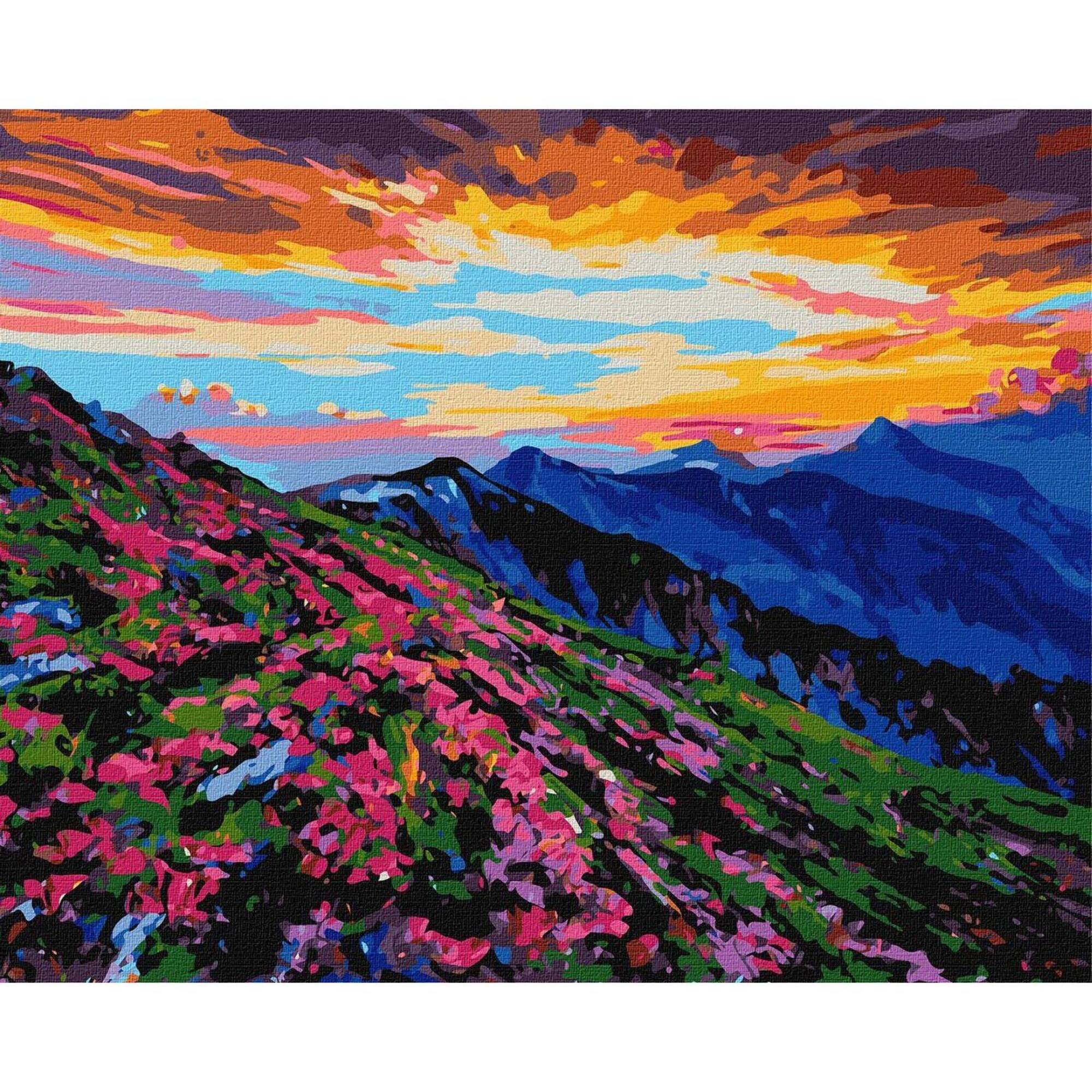 Ideyka Wonderland Painting by Numbers Kit
